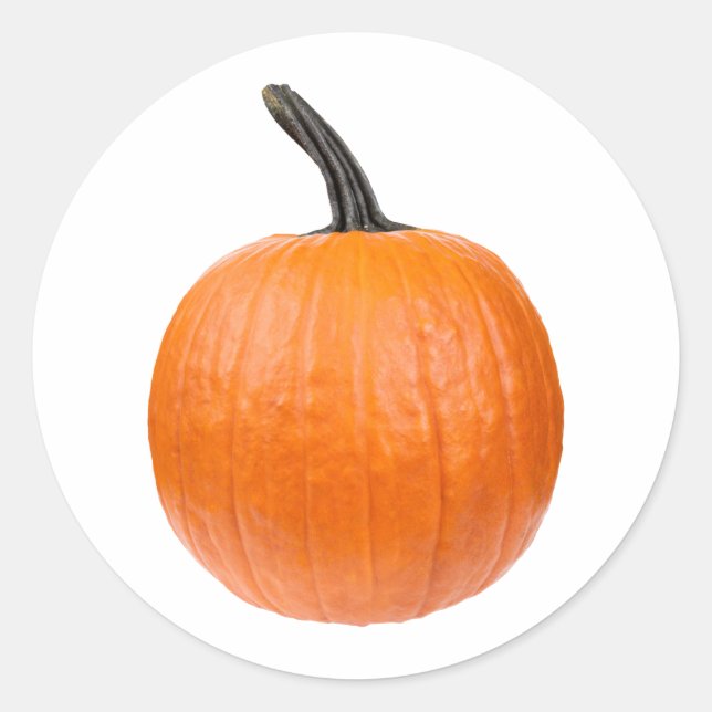 Stor Pumpkin Runt Klistermärke (Framsida)