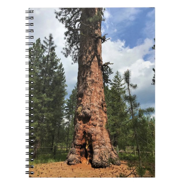 Stor Röd Träd, La Pine, OR Anteckningsbok (Framsidan)