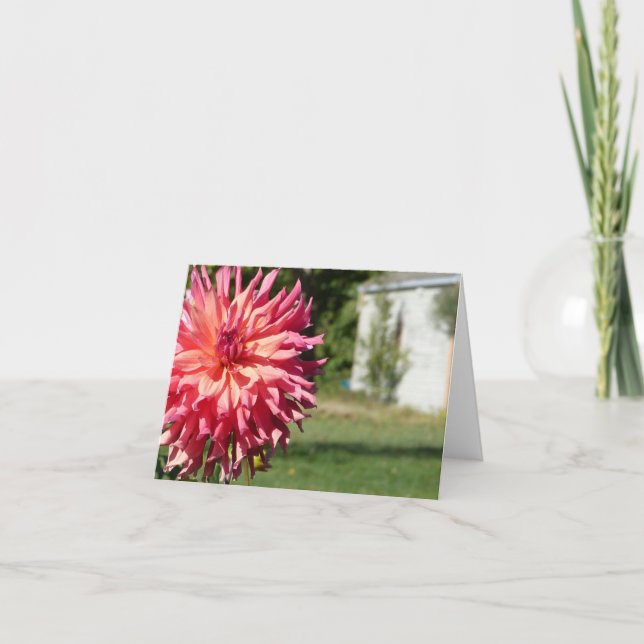 "STOR ROSA DAHLIA" NOTECARD KORT (Framsida)