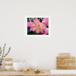Stor Rosa Rhododendron Blomning Blommotif Foto Poster