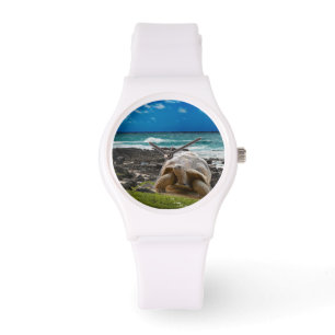 Stor sköldpadda på havskanten armbandsur