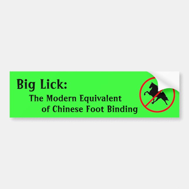 Stor Slicka: Den moderna motsvarigheten Bildekal (Framsidan)