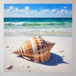 Stor snigelsnäcka på en fläckfri sandstrand poster