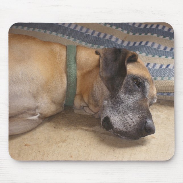 Stor söt great dane musmatta (Framsidan)