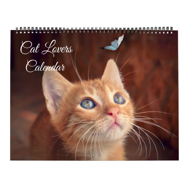 Stor Storlek Kattälskare Kalender (Omslag)