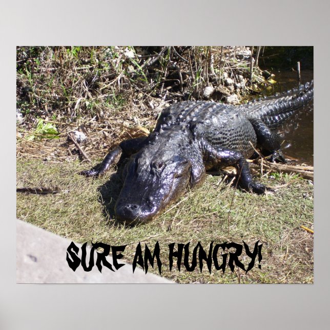 Stor svart alligatoraffisch poster (Framsidan)