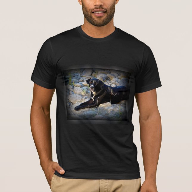 Stor svart Pitbull labbkor T-shirt (Framsida)