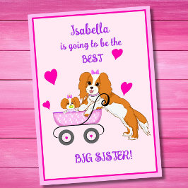 Stor syster Cavalier King Charles Spaniel Namn Kort