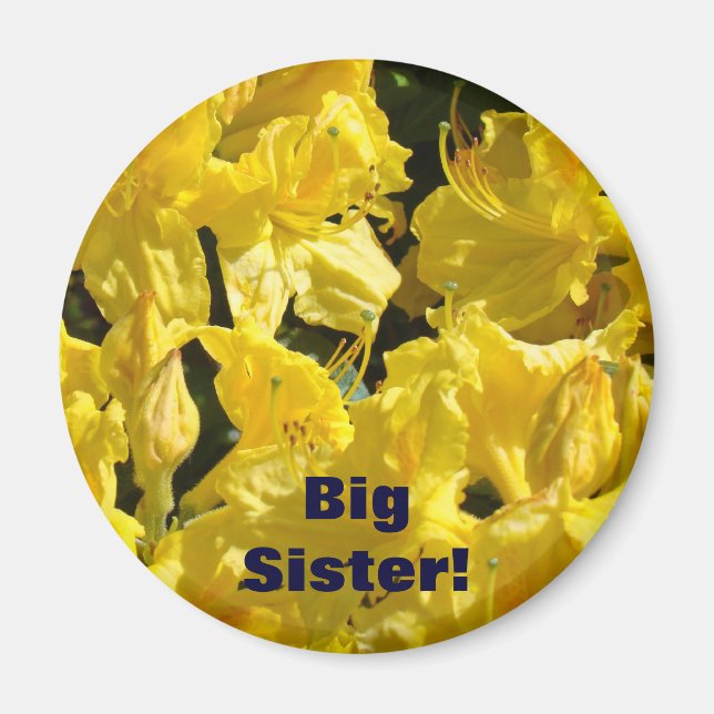 Stor syster! magnetpresenter Gula Rhodies Blommor Magnet (Framsidan)
