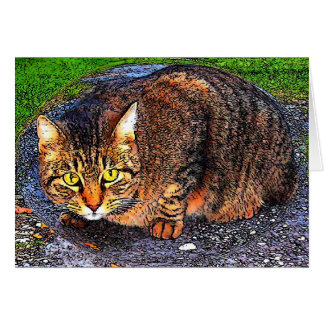 Stor tabby katt hälsningskort