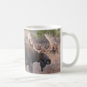 Stor tjurälg kaffemugg