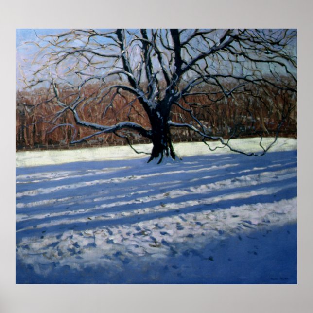 Stor Träd Snö Calke Abbey Poster (Framsidan)