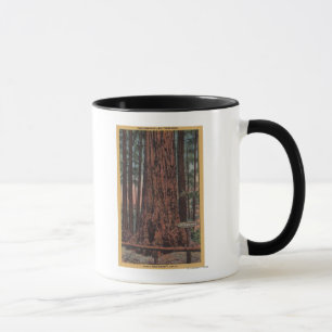 Stor träddelstatspark, CA - Mugg