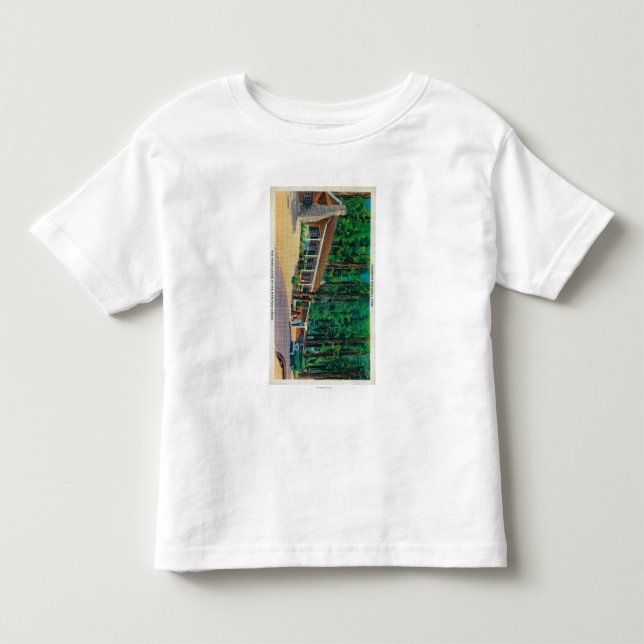Stor trädloge i den Mariposa dungen Tee (Framsida)