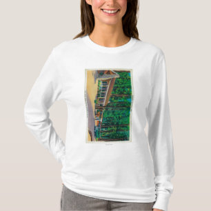 Stor trädloge i den Mariposa dungen Tee