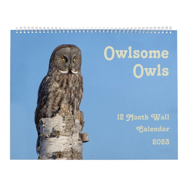 Stor Uggla-väggkalender Kalender (Omslag)