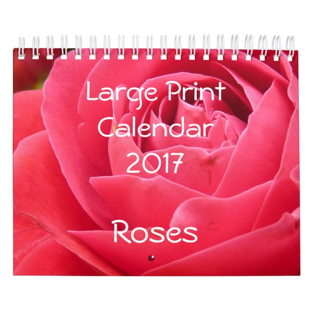Stor utskriftskalender 2017 Ro liten Kalender (Omslag)