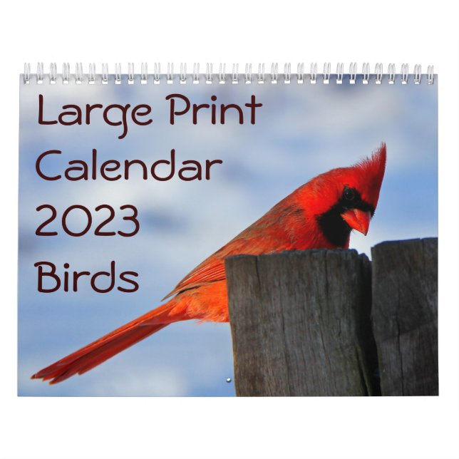 Stor utskriftskalender 2023 - Fåglar Kalender (Omslag)
