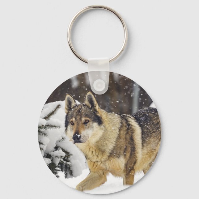 Stor vacker Grått-Vild-Varg i snö Nyckelring (Framsida)