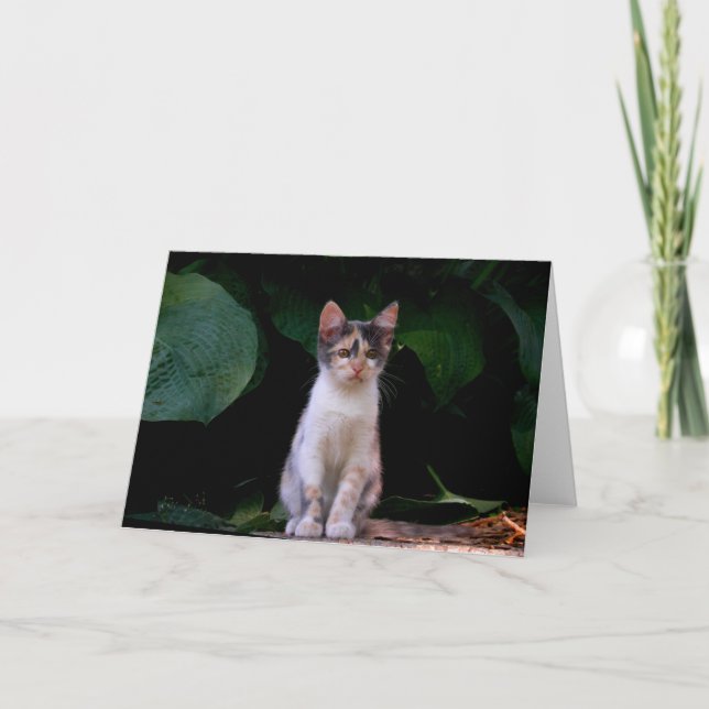 Stor värld kort (Framsida)