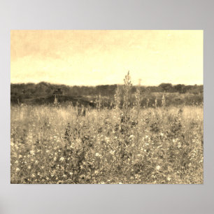 Stor Vintage Botanisk Guld Fält Blommig Grönska Poster