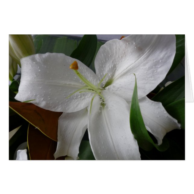 stor vit blomma hälsningskort (Framsidan Horizontal)