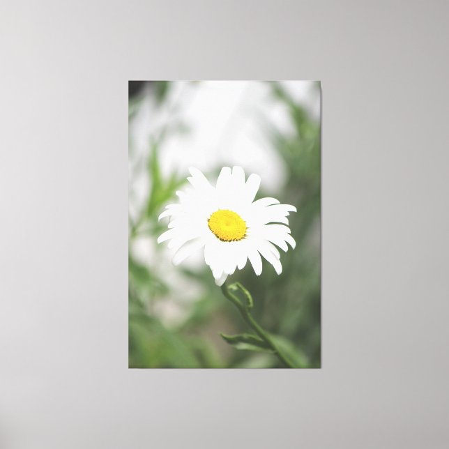 Stor vit Daisy, arbetsyta Canvastryck (Framsida)