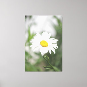 Stor vit Daisy, arbetsyta Canvastryck
