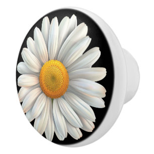 Stor vit Daisy på svart Knopp