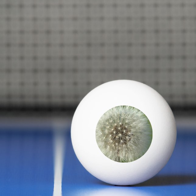 Stor vit maskros pingisboll (Netto)