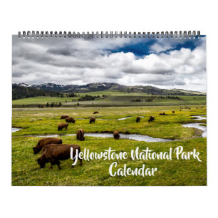 Stor Yellowstone Park-kalender Kalender