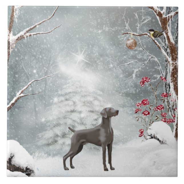 Stora (6" X 6") keramiska Weimaraner belägger med Kakelplatta (Framsidan)