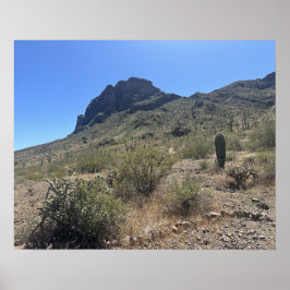Stora Arizona Desert Picacho-parken Poster