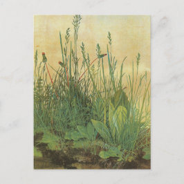 Stora Biet i Turf Vykort