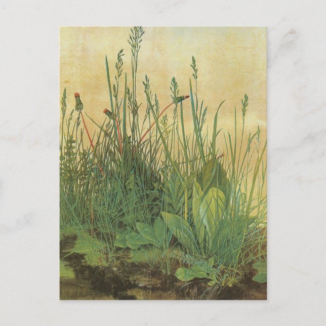 Stora Biet i Turf Vykort (Framsida)