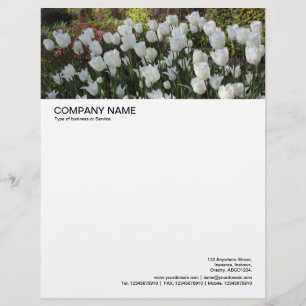 Stora Bild Header - Bed of White Tulips Brevhuvud