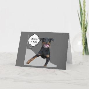 STORA BLACK HUND MED STORA TUNGA TÄNKER PÅ "DU" KORT
