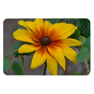 Stora blommor magnet