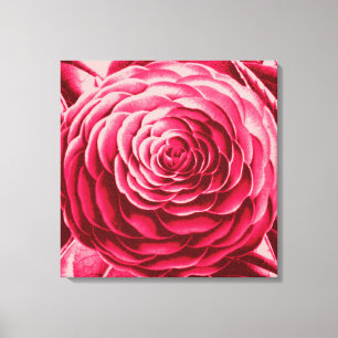 Stora Camellia, Vin och Rosa Canvastryck