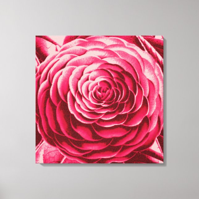 Stora Camellia, Vin och Rosa Canvastryck (Framsida)