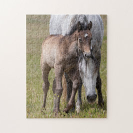 Stora delar av Kärlek Pussel