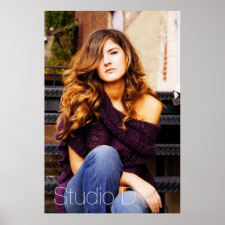 Stora fönster 3 poster