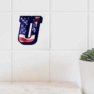 Stora fotokeramiska plattan i American Flagga (U) Kakelplatta