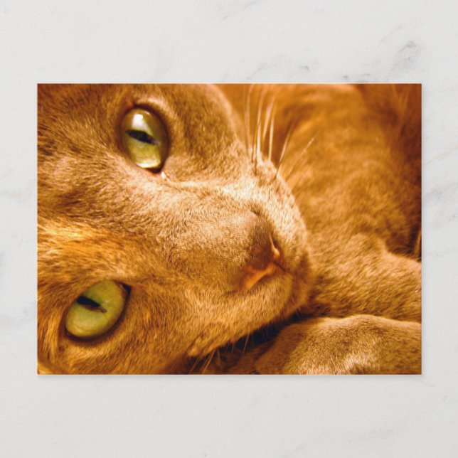 Stora Gröntar Vykort (Framsida)