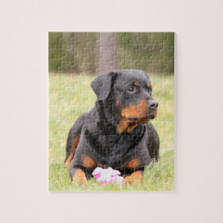 Stora härliga Rottweiler Pussel