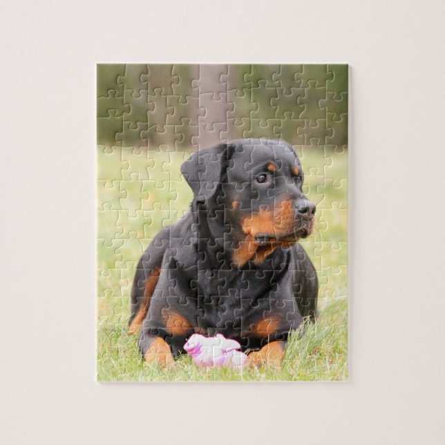 Stora härliga Rottweiler Pussel (Vertikal)