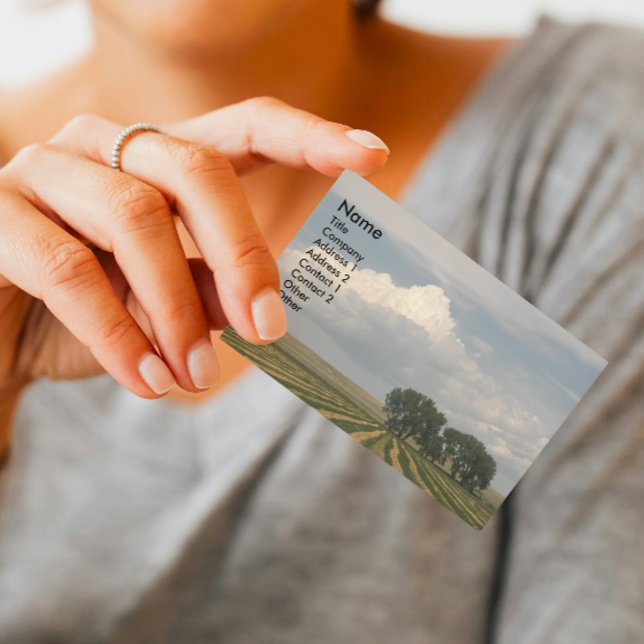 Stora Himlar-landskapet Visitkort (In Situ)