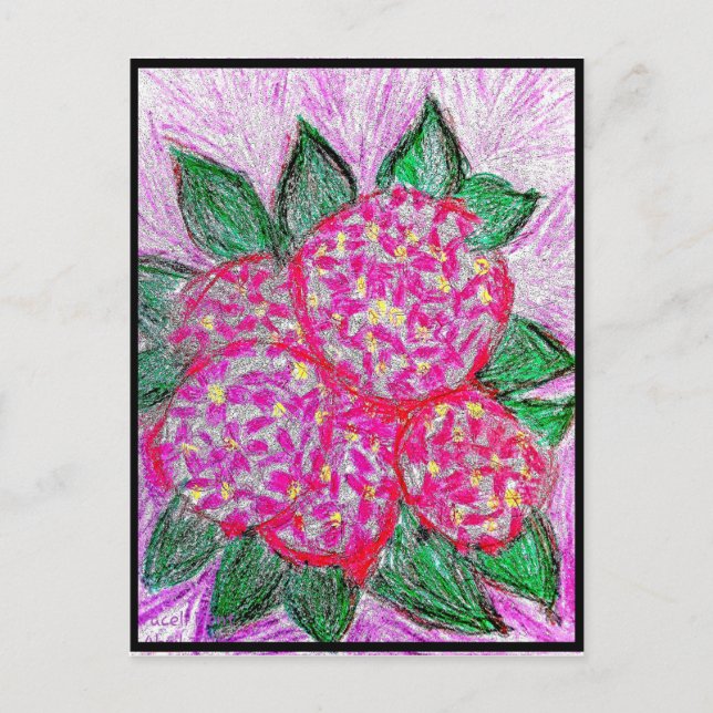 Stora hortensia vykort (Framsida)