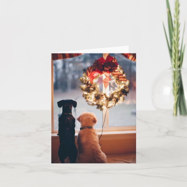 Stora julläggkort - husdjur helgkort (Framsida)