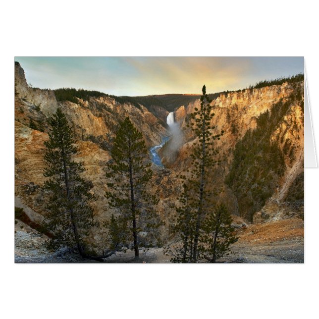 Stora kanjonen i Yellowstone, Yellowstone Hälsningskort (Framsidan Horizontal)